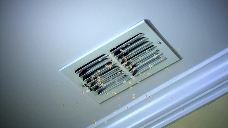 Best Air Duct Cleaning Near Me  in Zionsville, IN