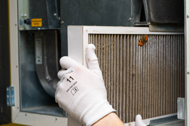 Best Professional Duct Cleaning Services  in Zionsville, IN