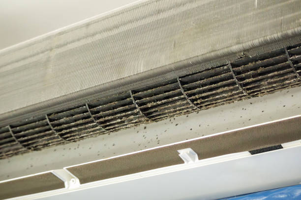 Best HVAC System Cleaning  in Zionsville, IN